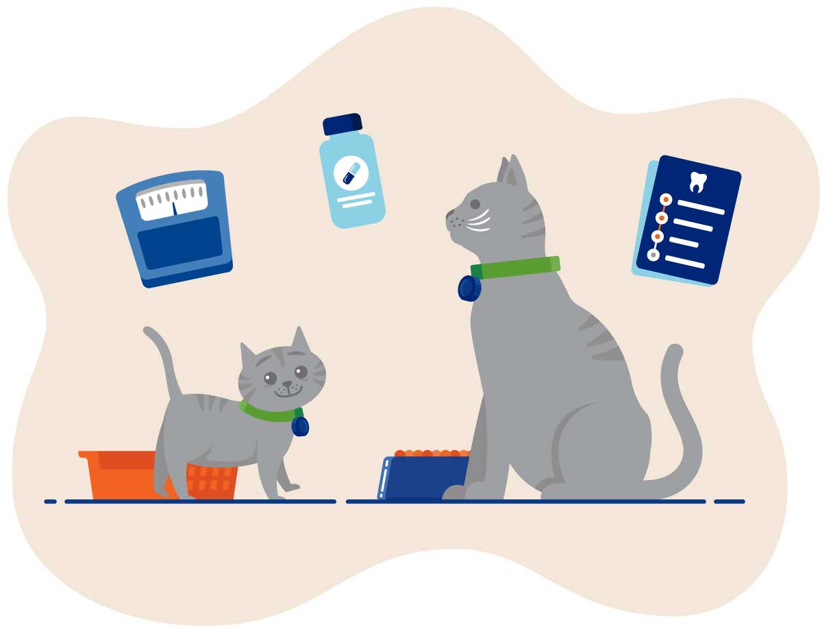 20250423_017 Illustration of a gray cat and kitten with medical supplies