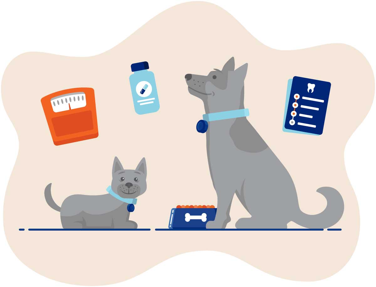 20250423_018 Illustration of a puppy and dog surrounded by medical supplies