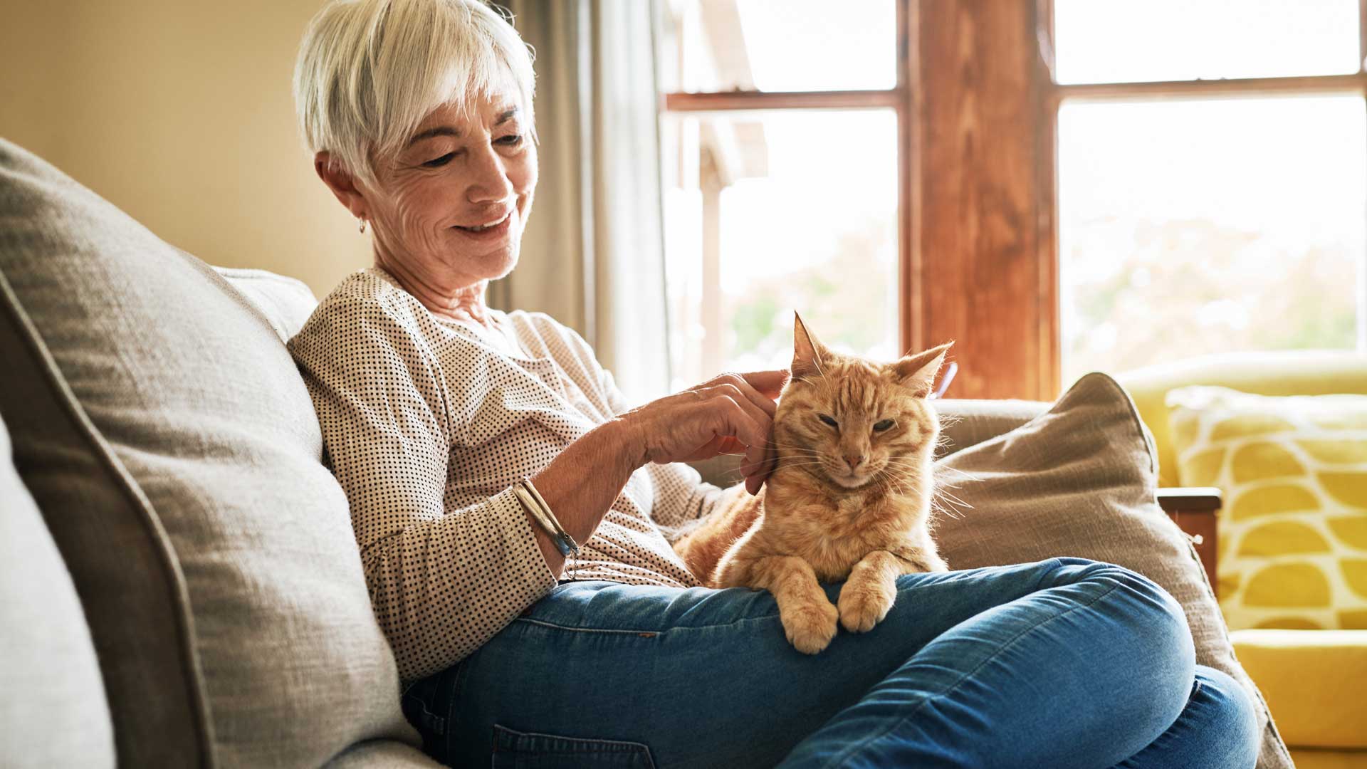 20181205_001_1920x1080 An older woman sits on the couch with her orange cat