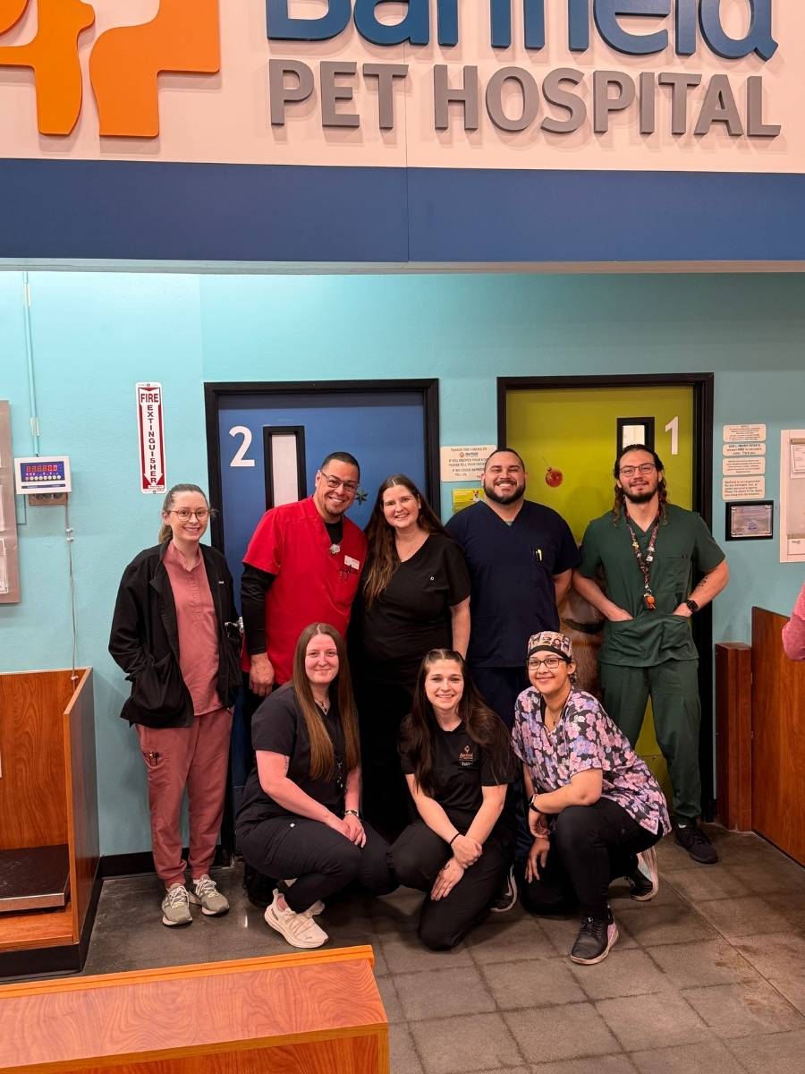 Team photo at the Banfield Roswell location The Banfield Pet Hospital: Roswell Staff