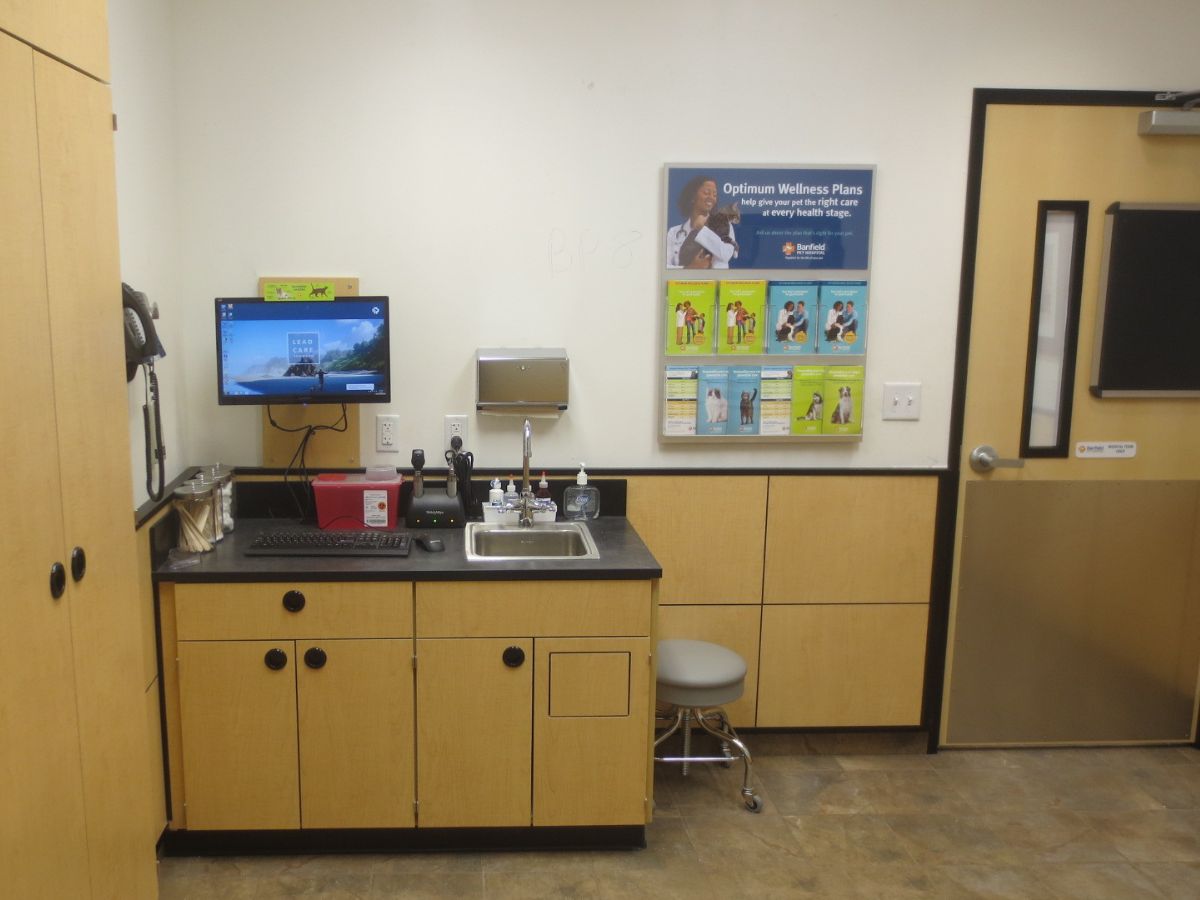 Interior of the Banfield Pompano exam room