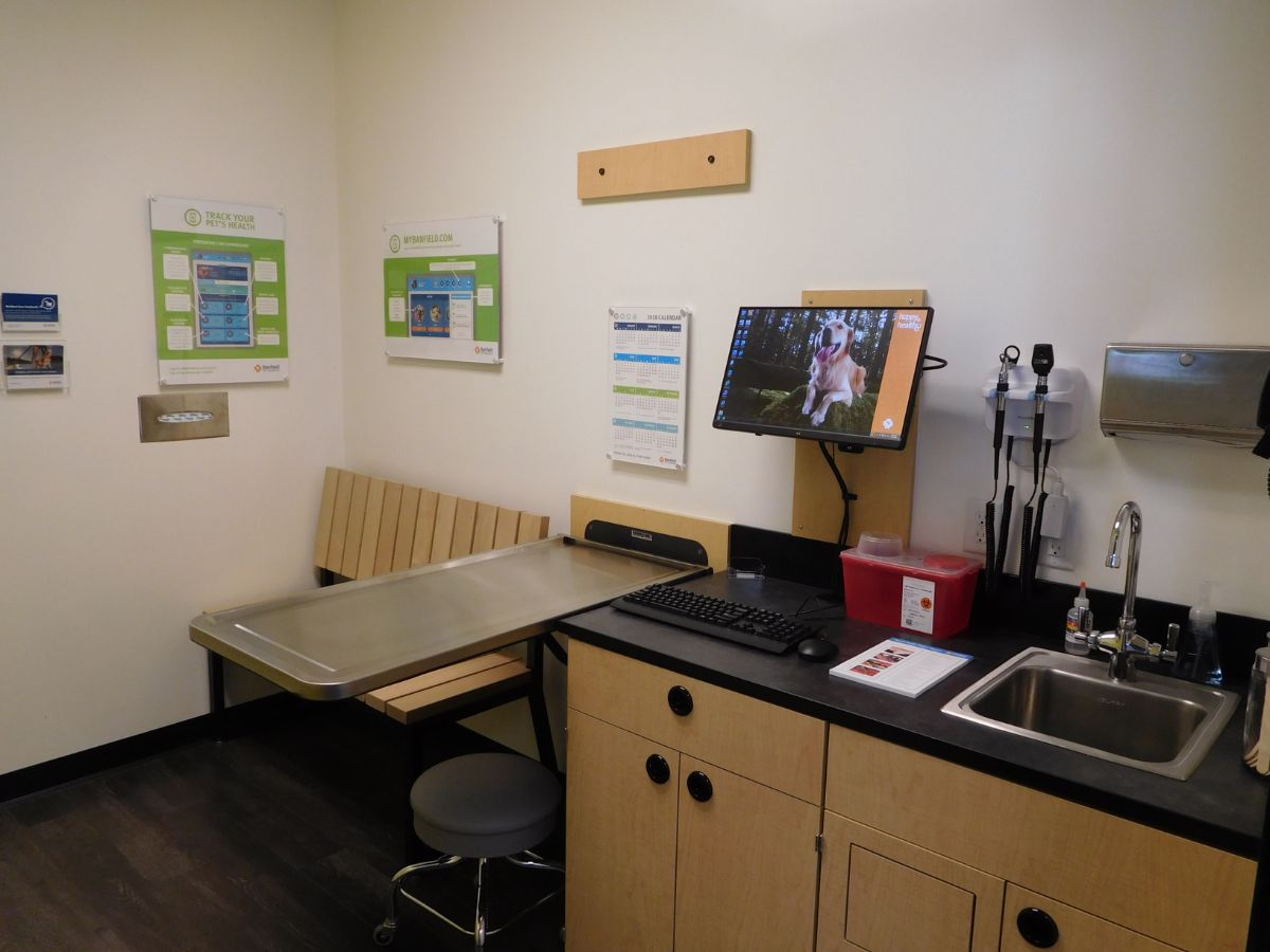The exam room in Banfield Pet Hospital - Palm Springs FL