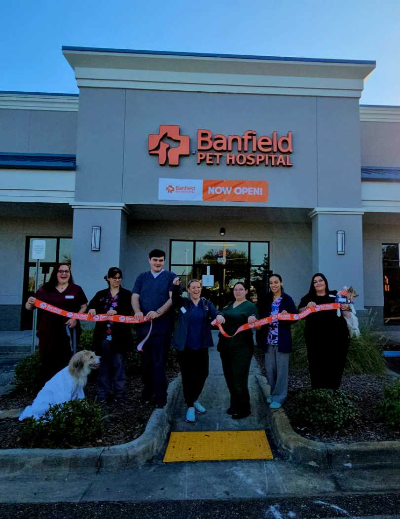 The Banfield Brandon Clayton Plaza hospital team