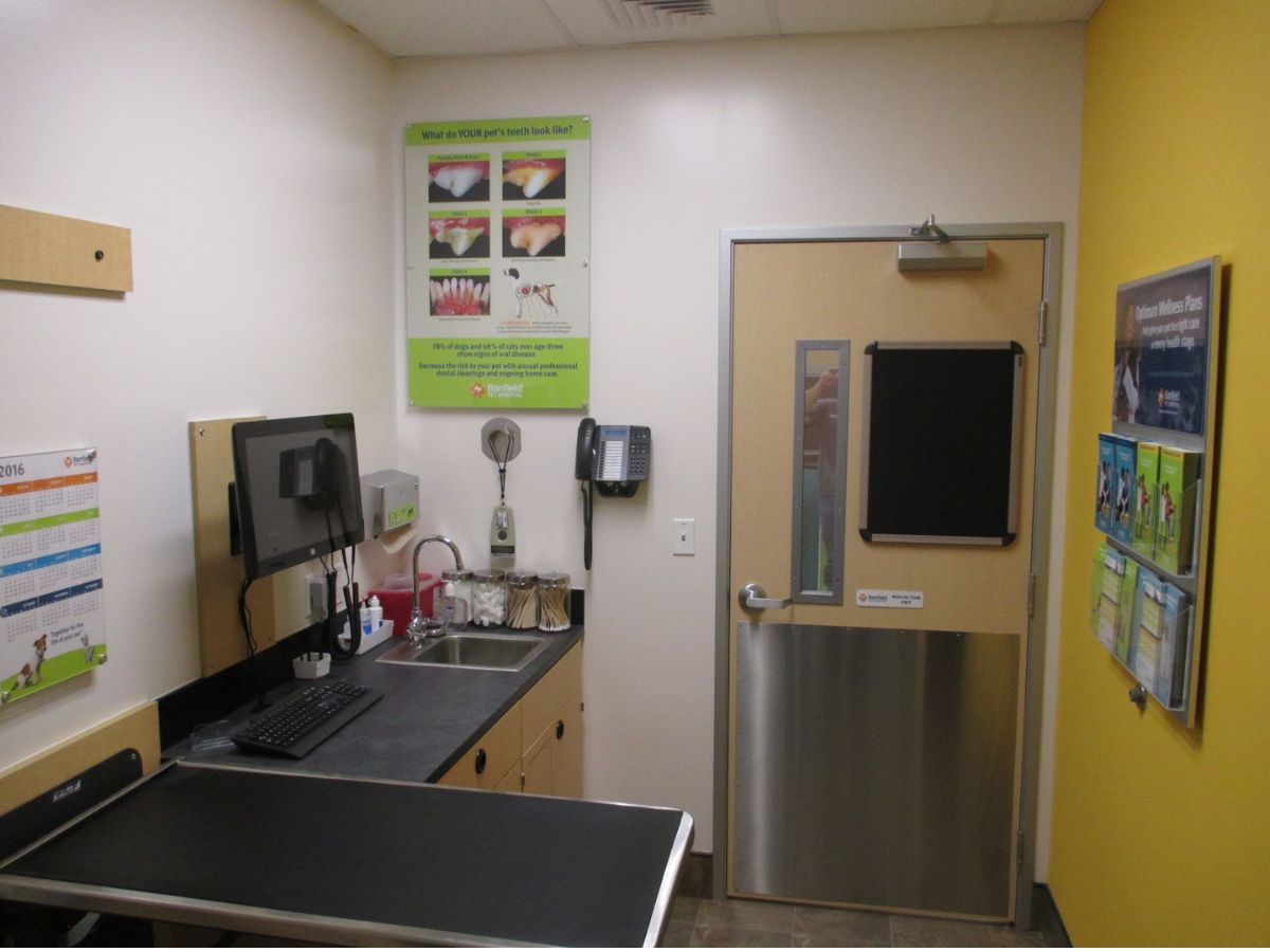 Banfield Pet Hospital: Jacksonville Beach exam room