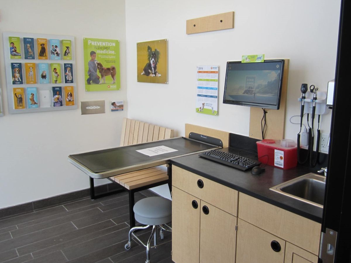 The interior of the exam room at the Banfield Miami Plaza Alegre location