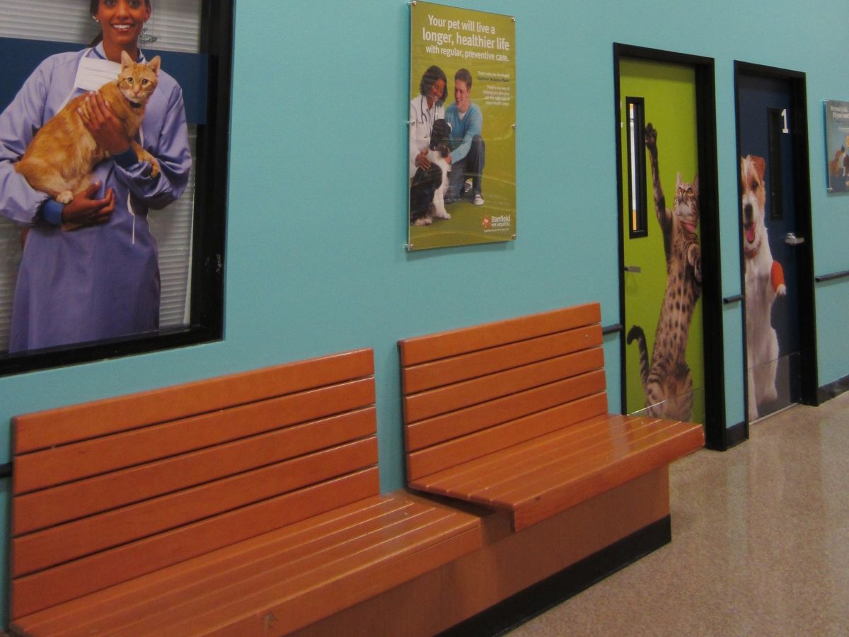 Benches in the waiting area of the Banfield Coral Springs hospital