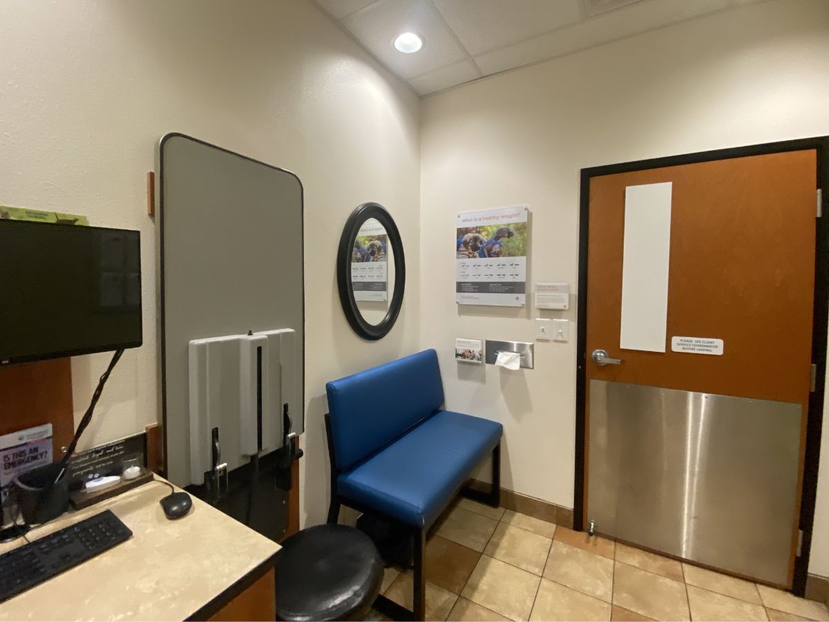 The Banfield Pet Hospital Citrus Park exam room