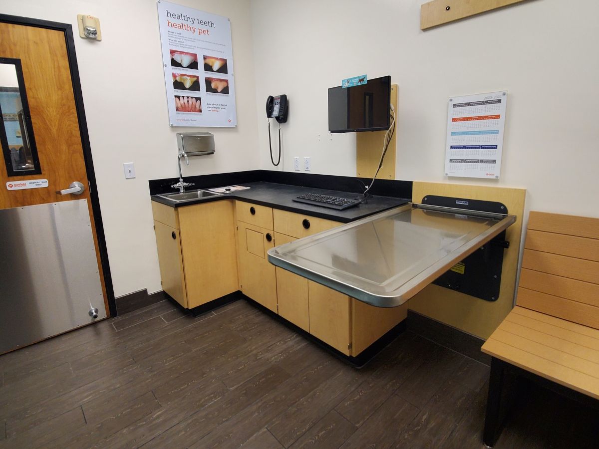 The Banfield Pet Hospital Pensacola exam room