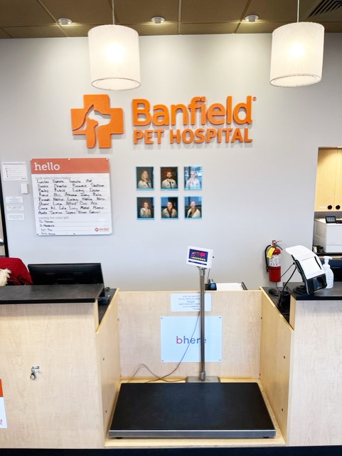 Banfield Pet Hospital: Coon Rapids front desk