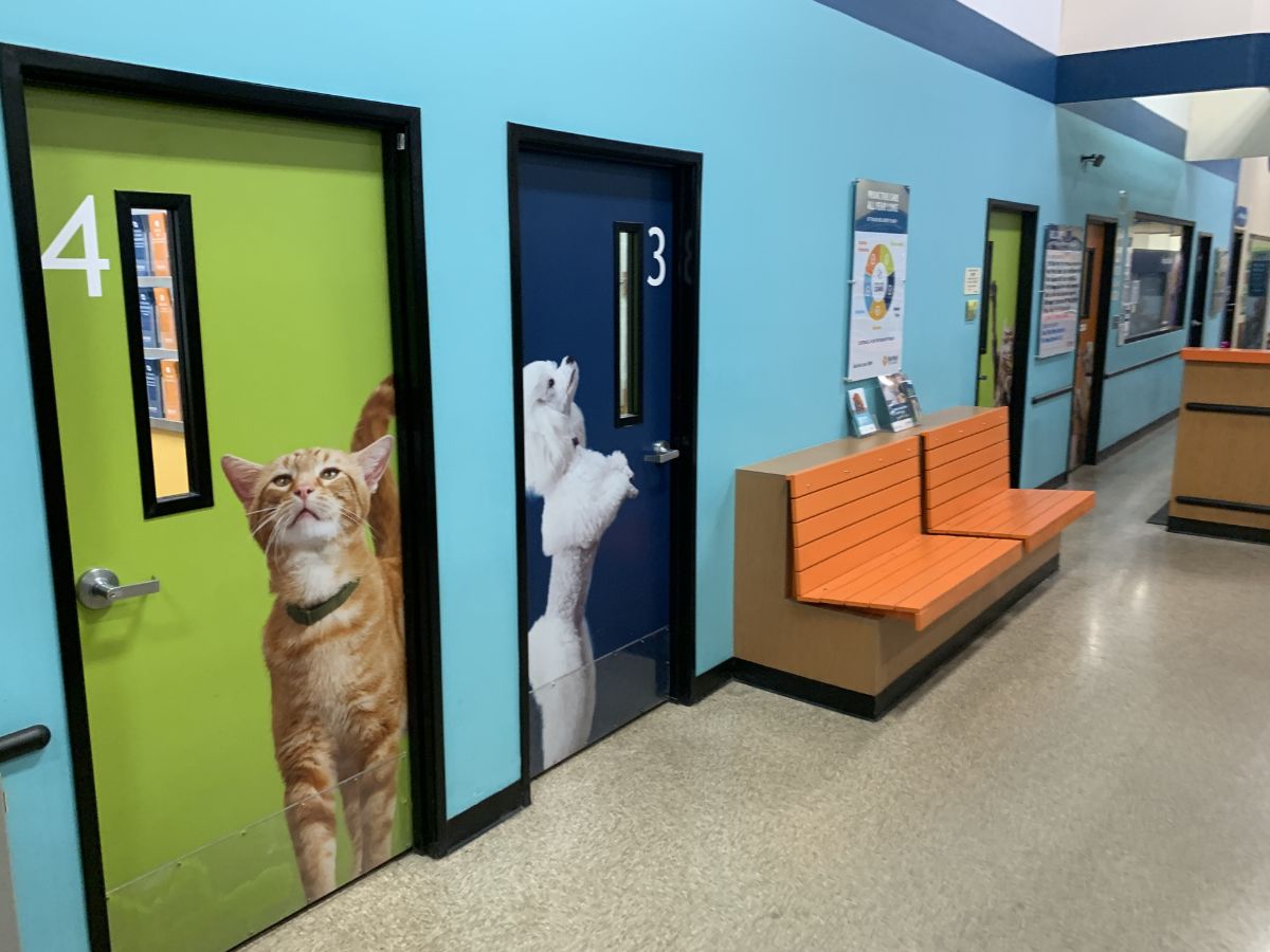 The Banfield Pet Hospital North Tampa exam room doors