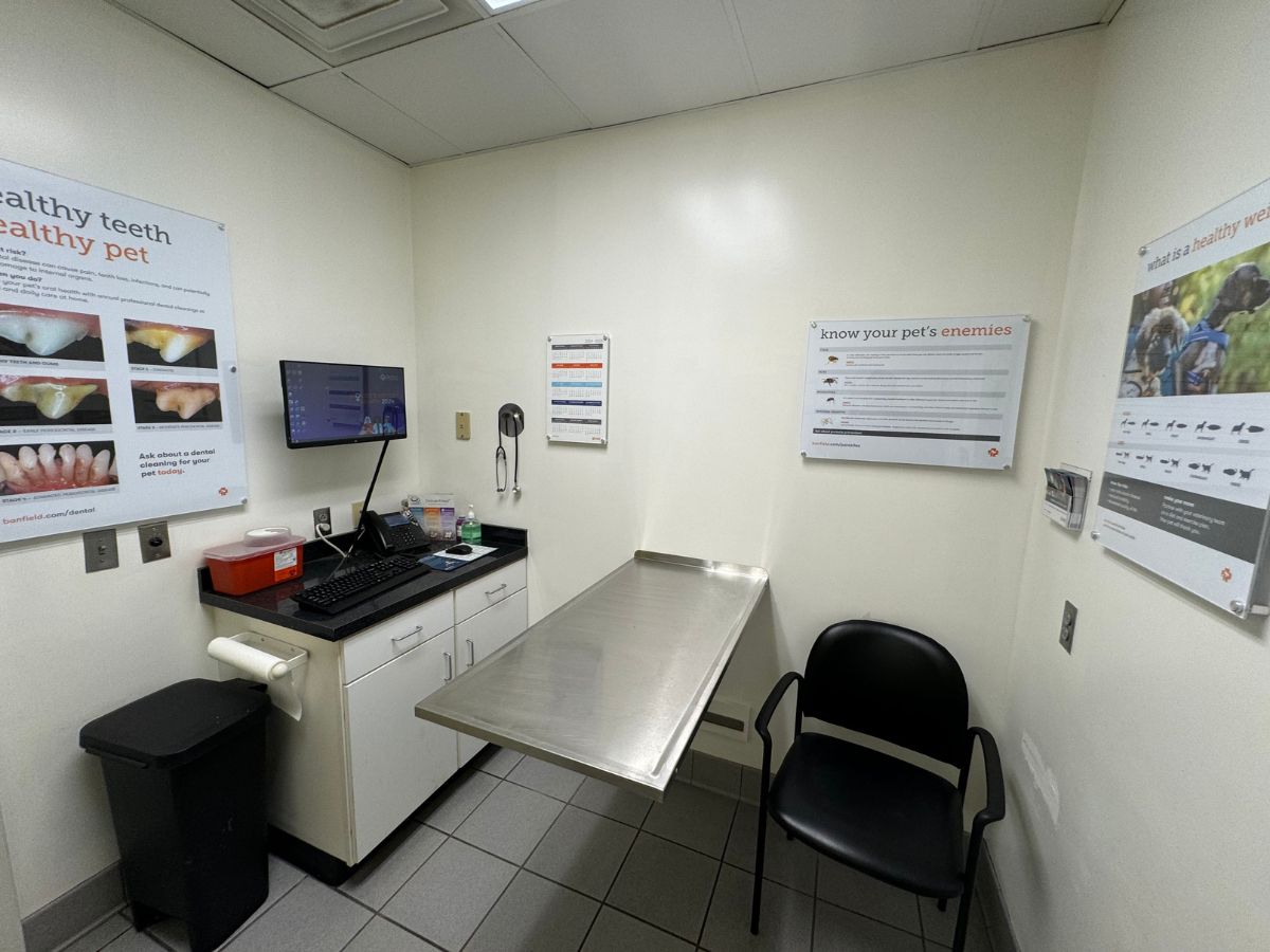 Inside of a Banfield Lansdowne exam room with table