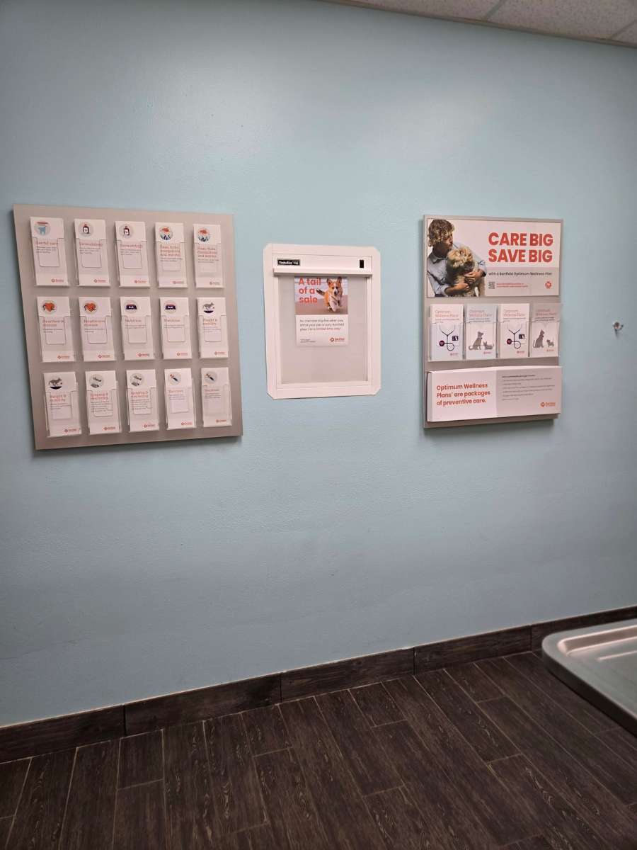 An exam room at Banfield Pet Hospital - Hoover