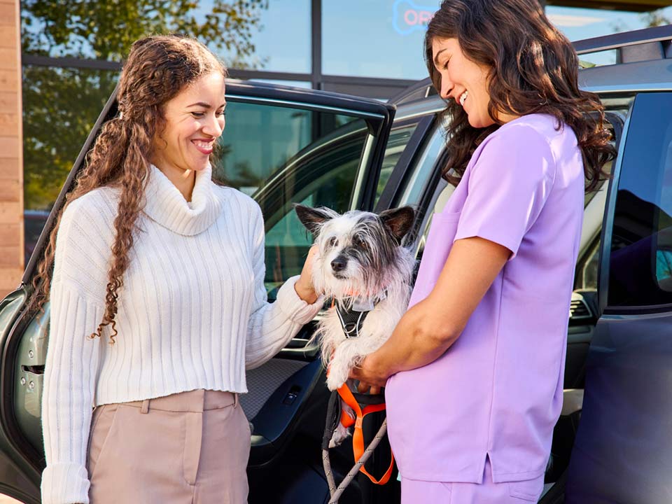 A CVT greets a woman with her pet dog outside her car outside Banfield Pet Hospital