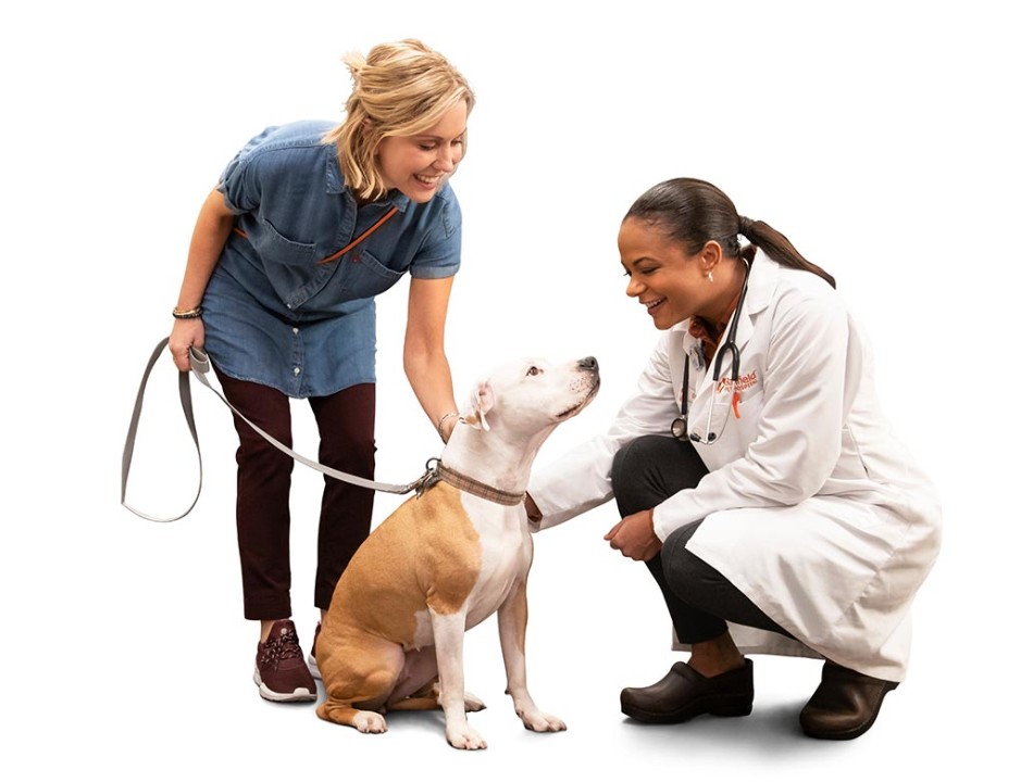 Doctor checking dog in Banfield Hospital