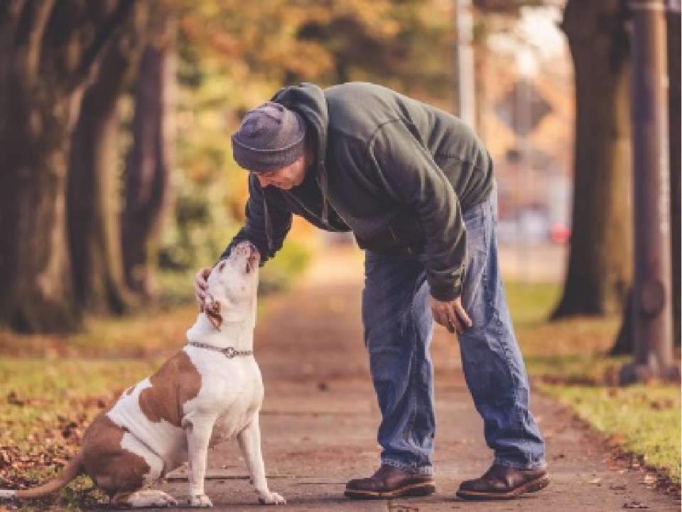 A man petting a dog