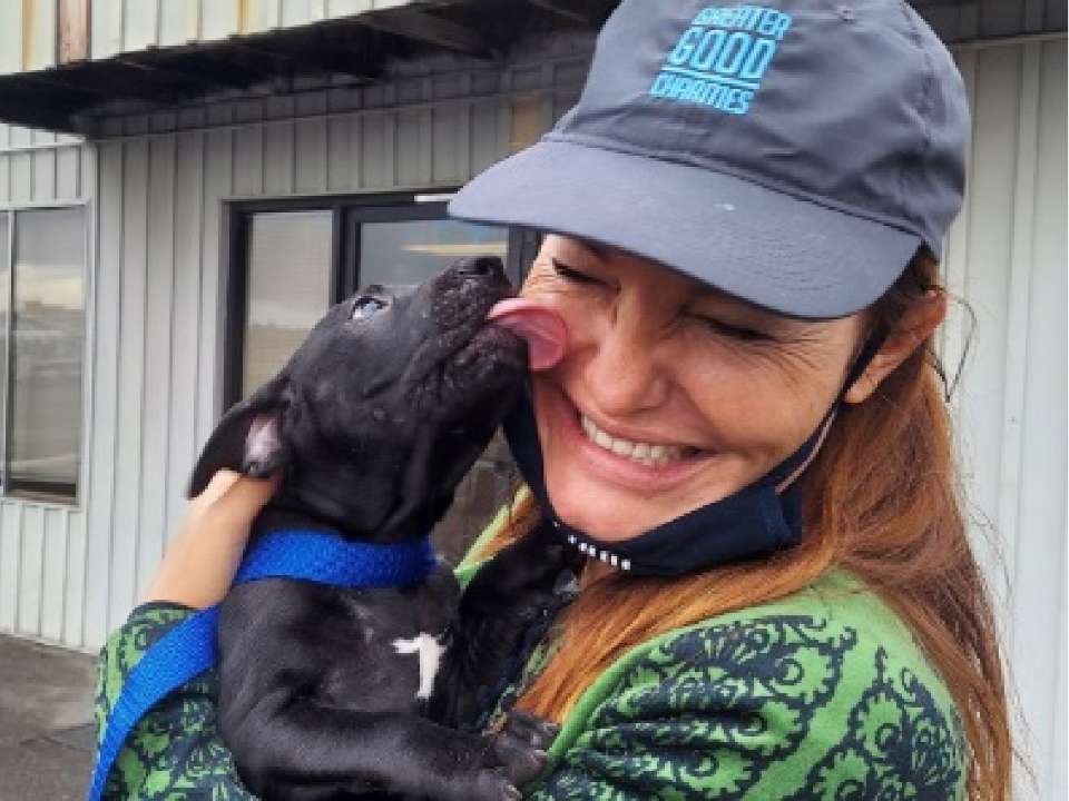 A photo of a dog licking a volunteer