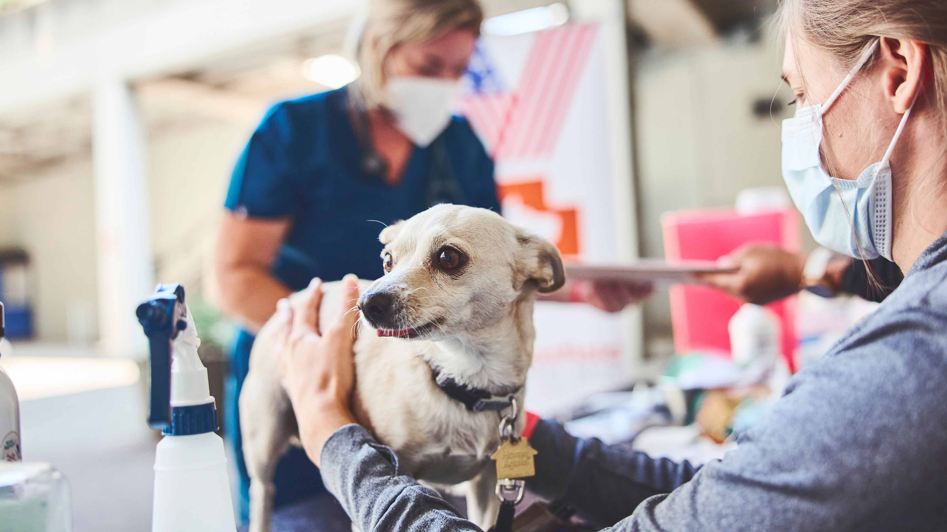 Banfield providing pet care at a Stand Down event