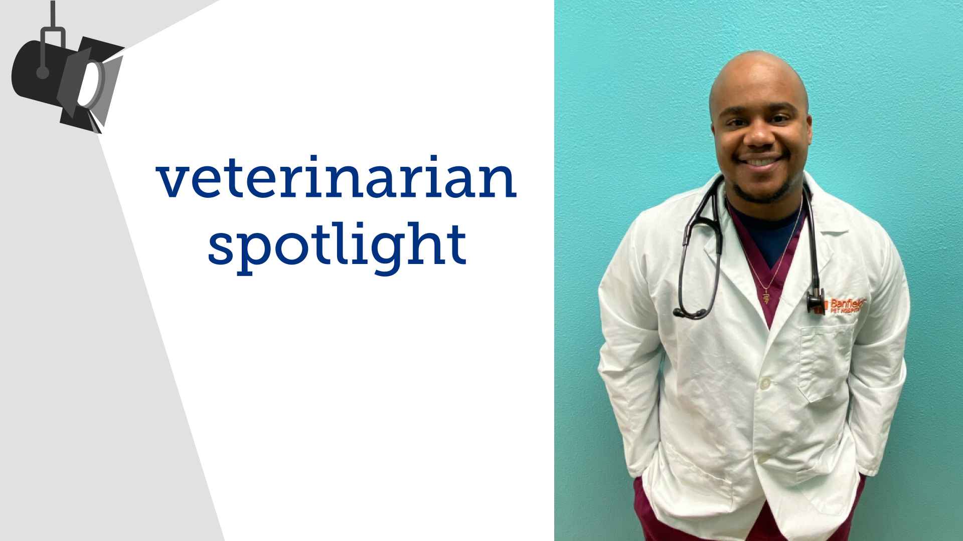 Veterinarian Spotlight