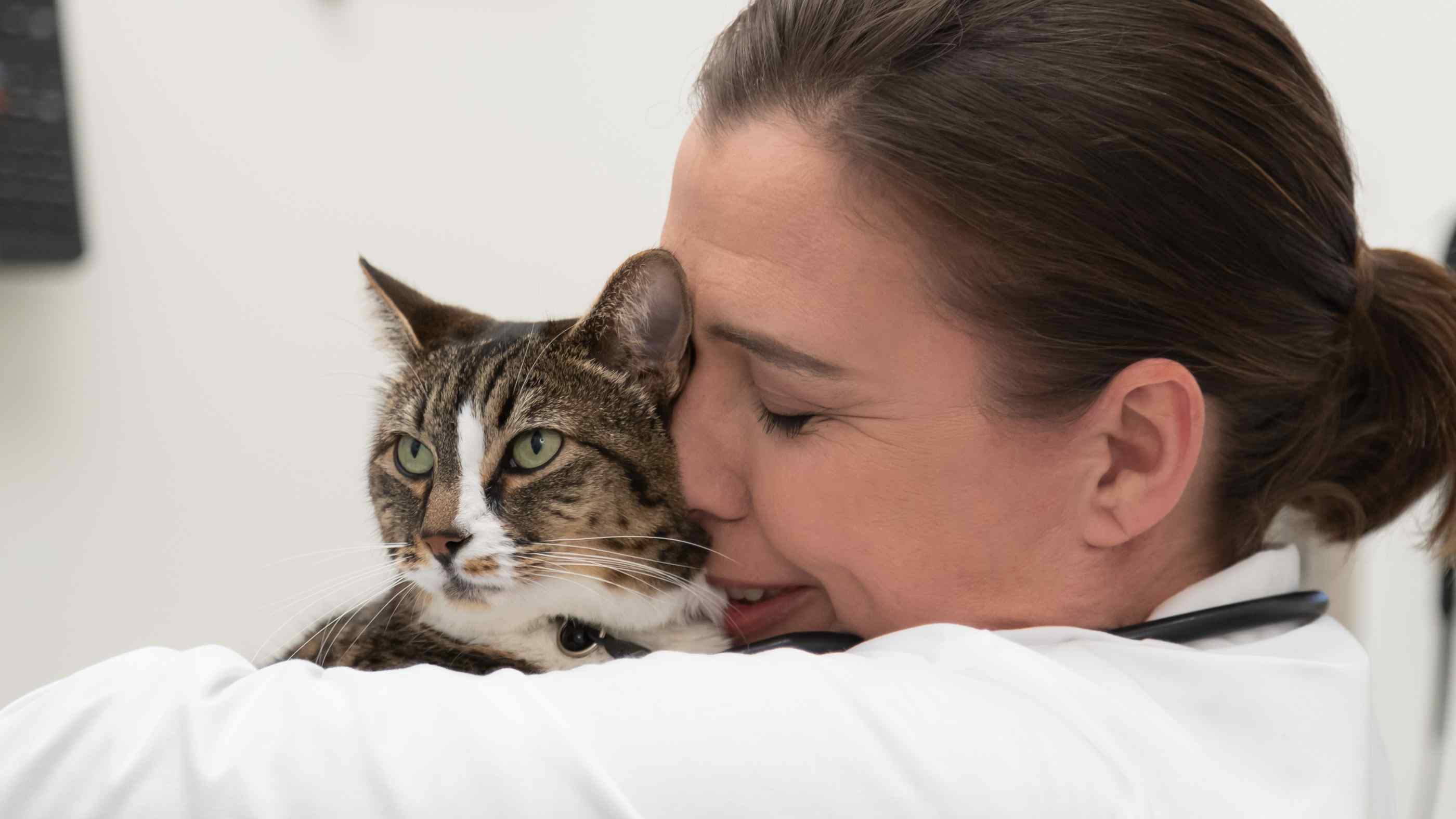 Doctor Holding cat 