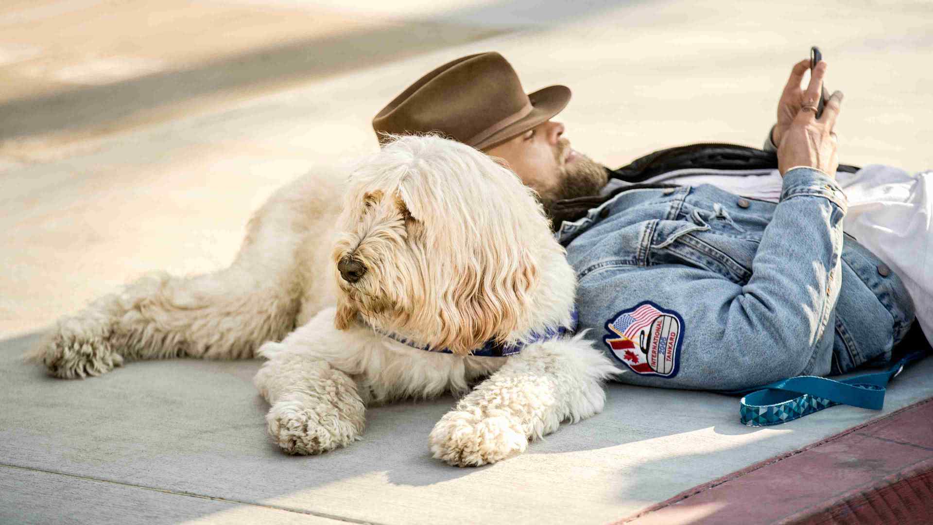 Owner and dog on ground