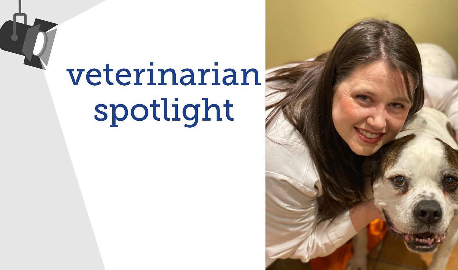 Dr. Kuhlo vet spotlight