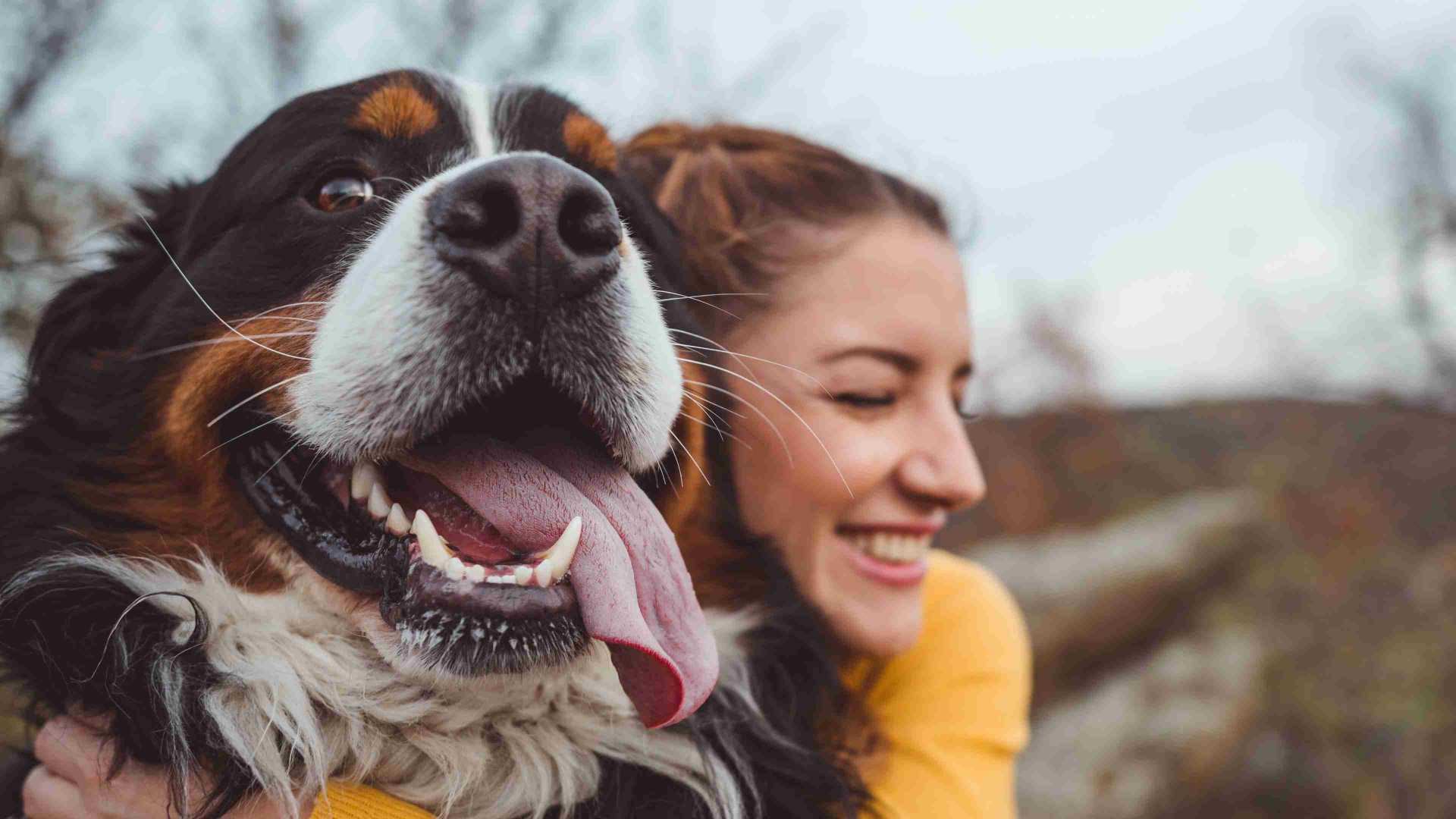 girl hugs dog