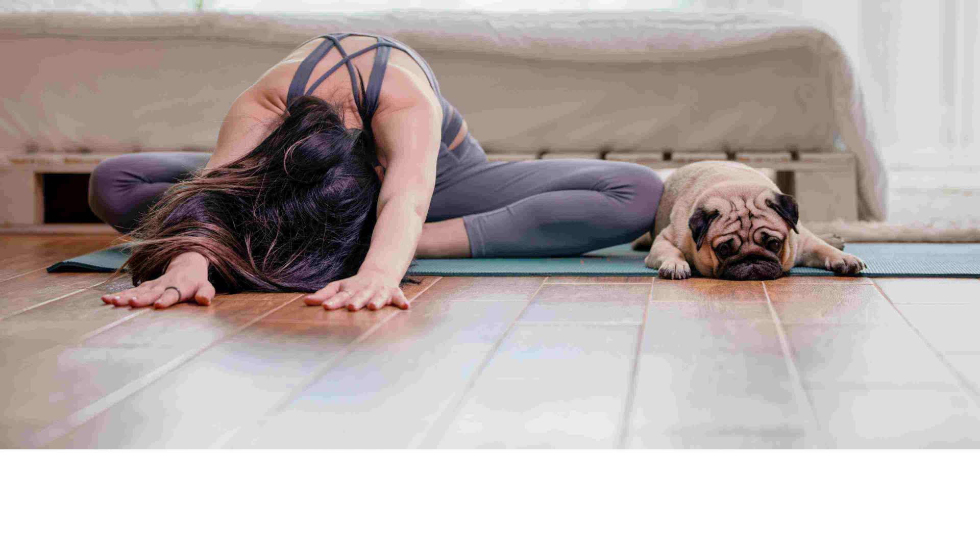 Yoga with a dog 