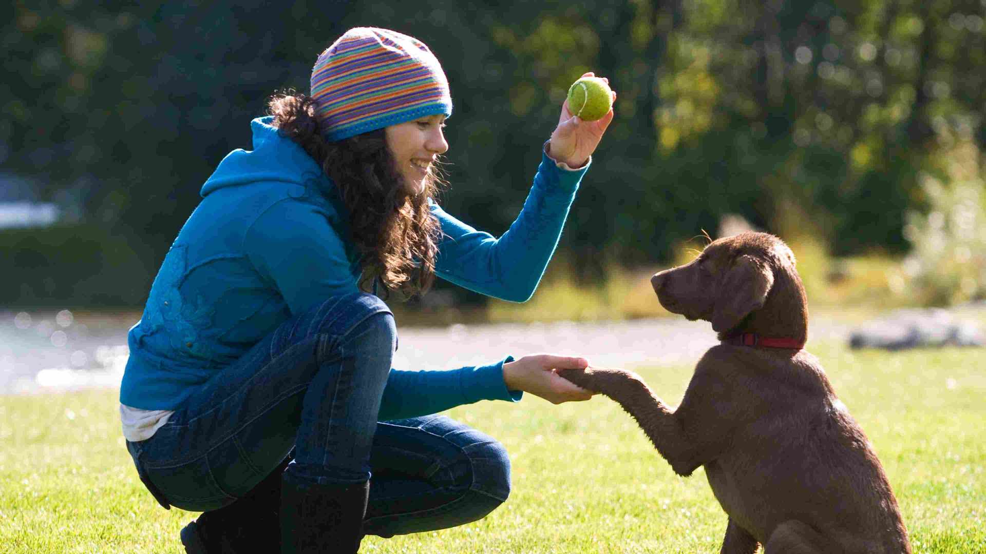 Girl Playing with Dog