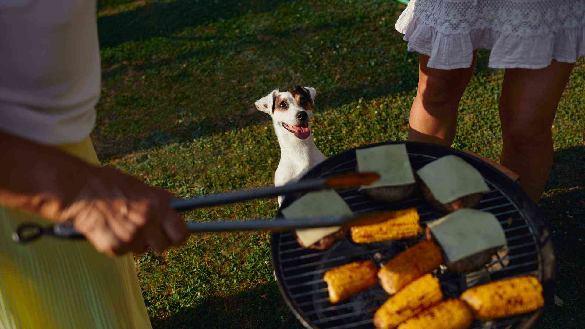 grill safety with pets