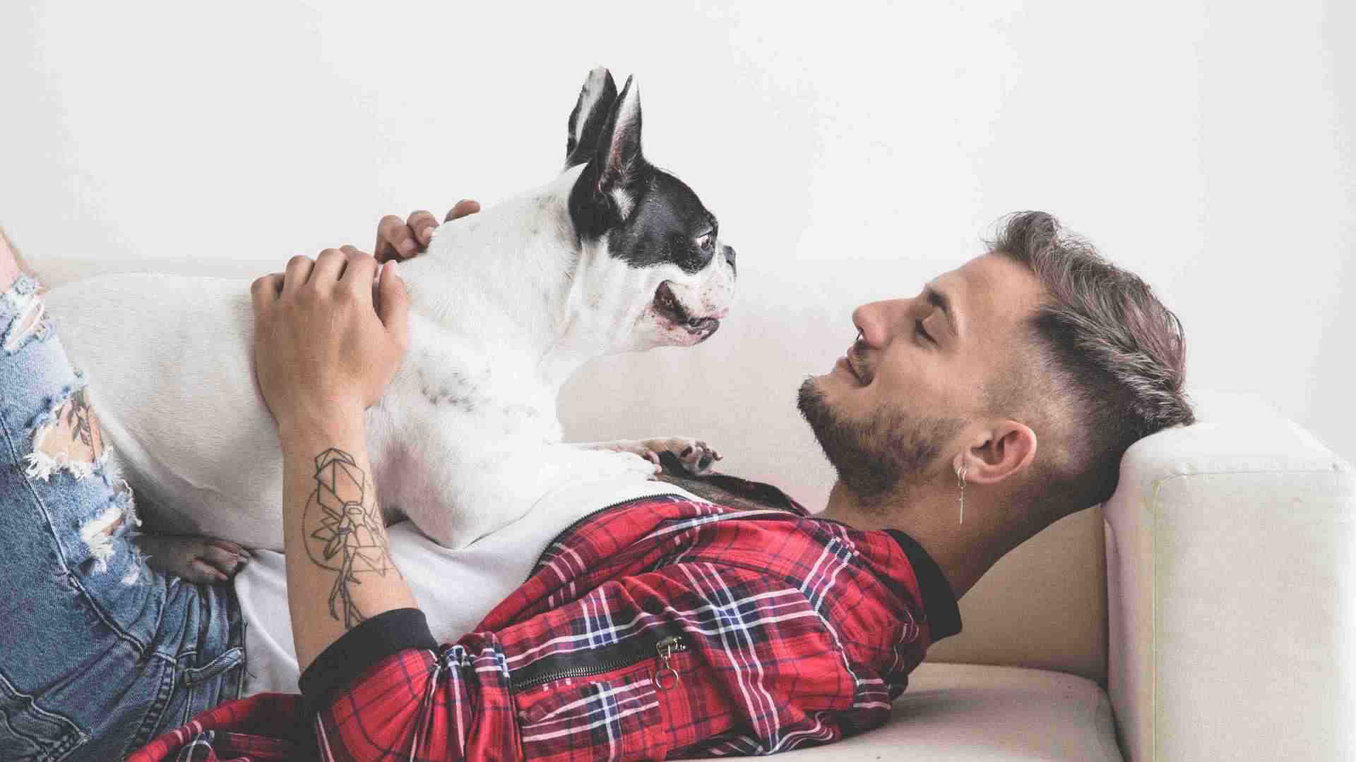 Pets want to see you during college breaks