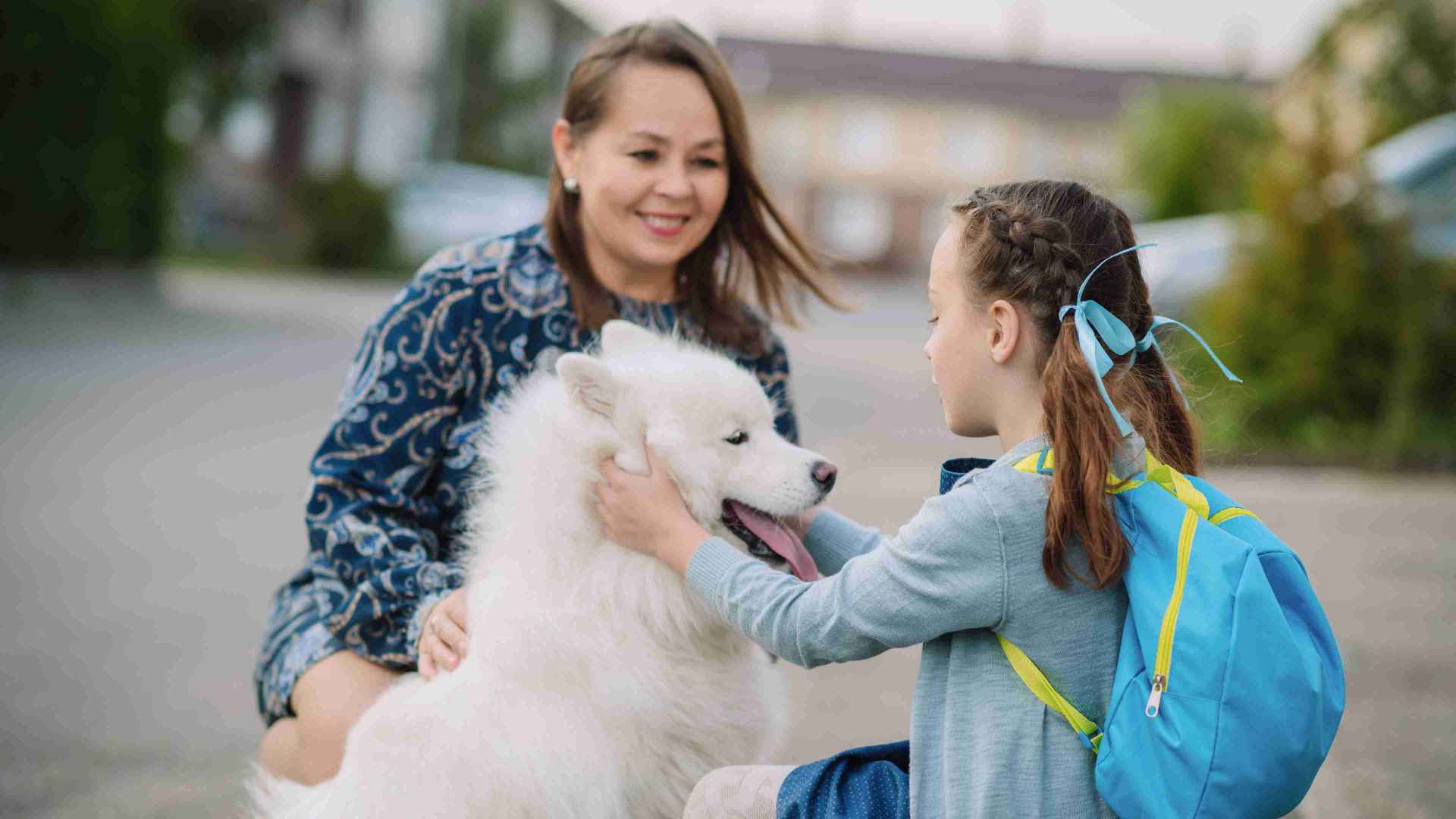 back to school and pet separation anxiety