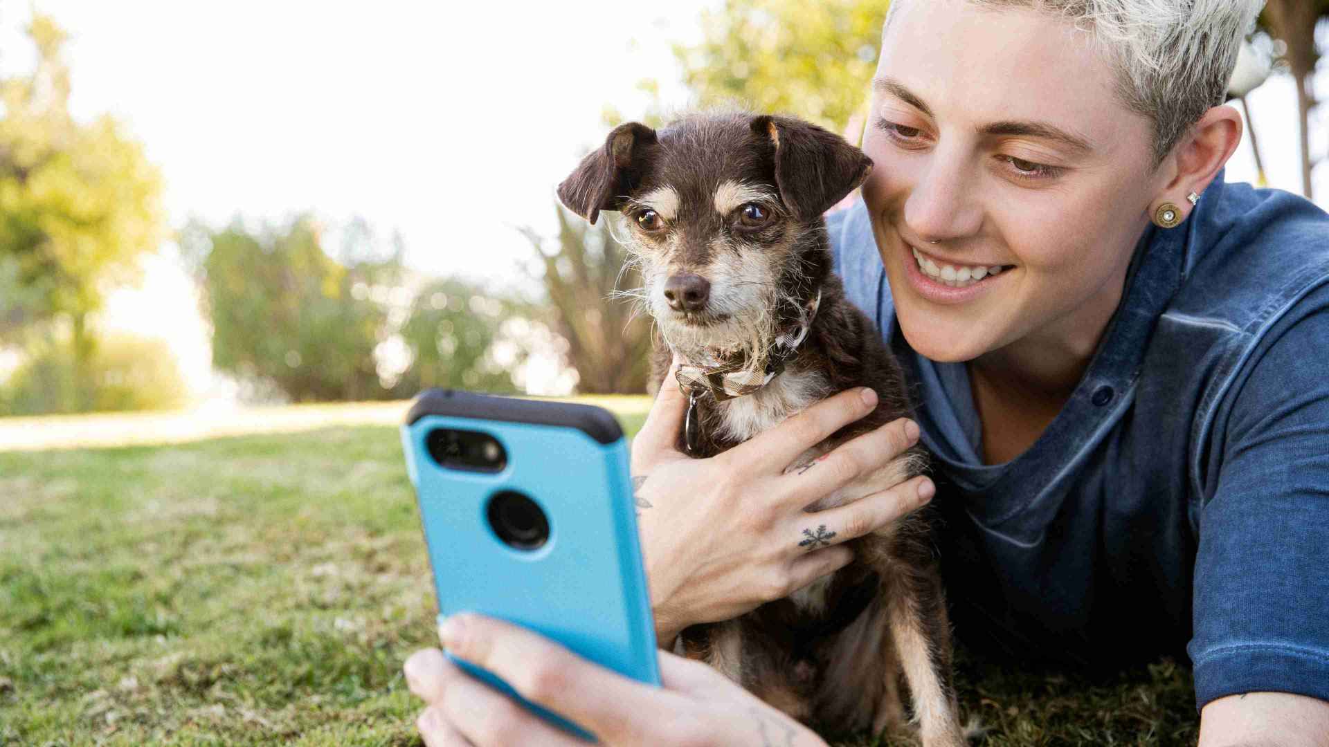 Owner and dog looking at phone