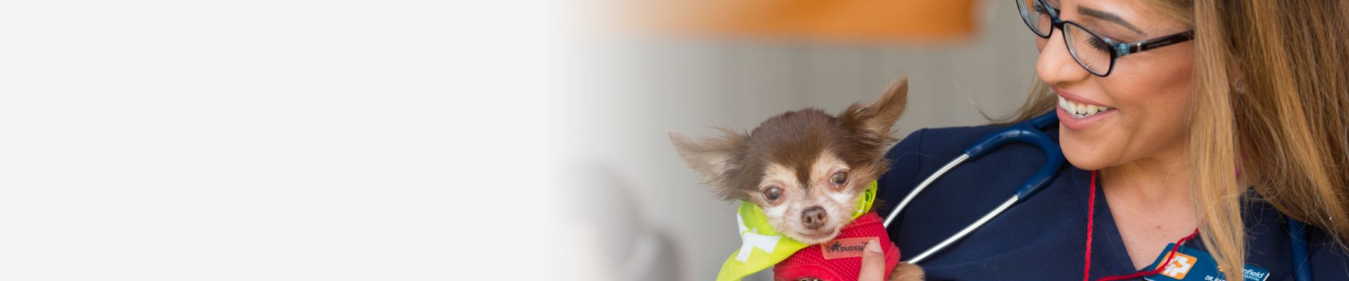 dog with doctor