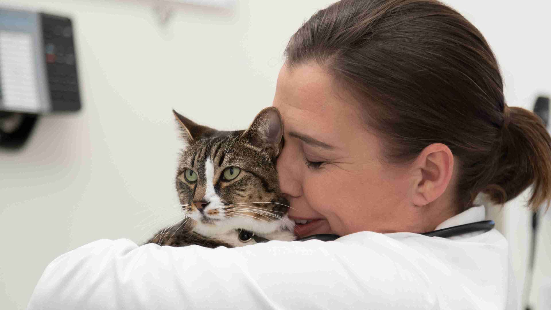 Doctor hugging Cat