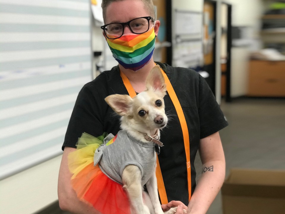 A male pet owner wearing a rainbow flag themed face mask with his dog who is wearing a rainbow flag themed dress