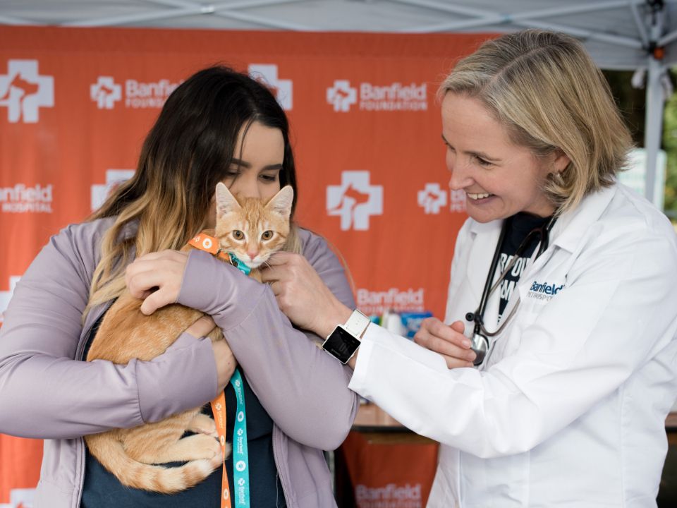 A female pet owner hugging her cat while a young female veterinarian playfully rubs the cat's neck at the Banfield Pet Hospital