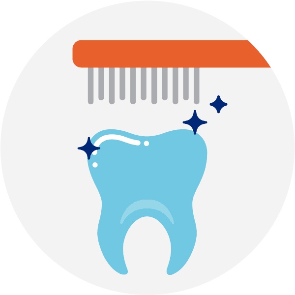Tooth with Brush GIF