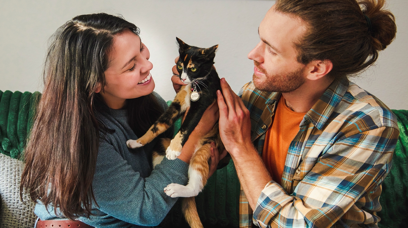 A man and a woman sit on a couch and hold a cat in-between them
