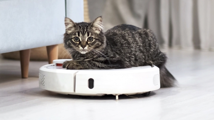 A tabby cat hitches a ride on a Roomba