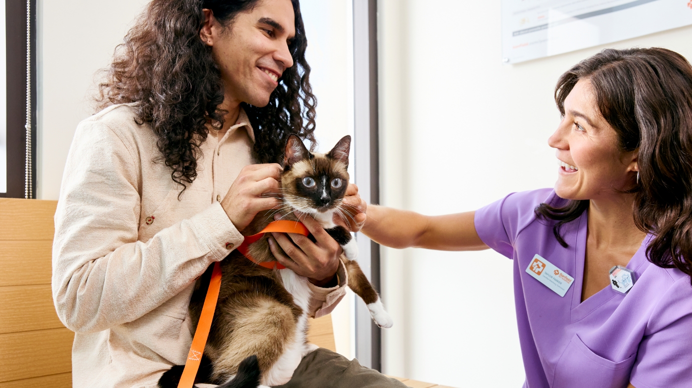 A Banfield vet chats with an owner and their cat