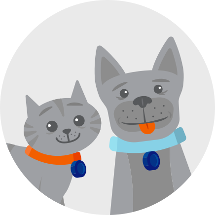 Illustration of a cat and dog smiling