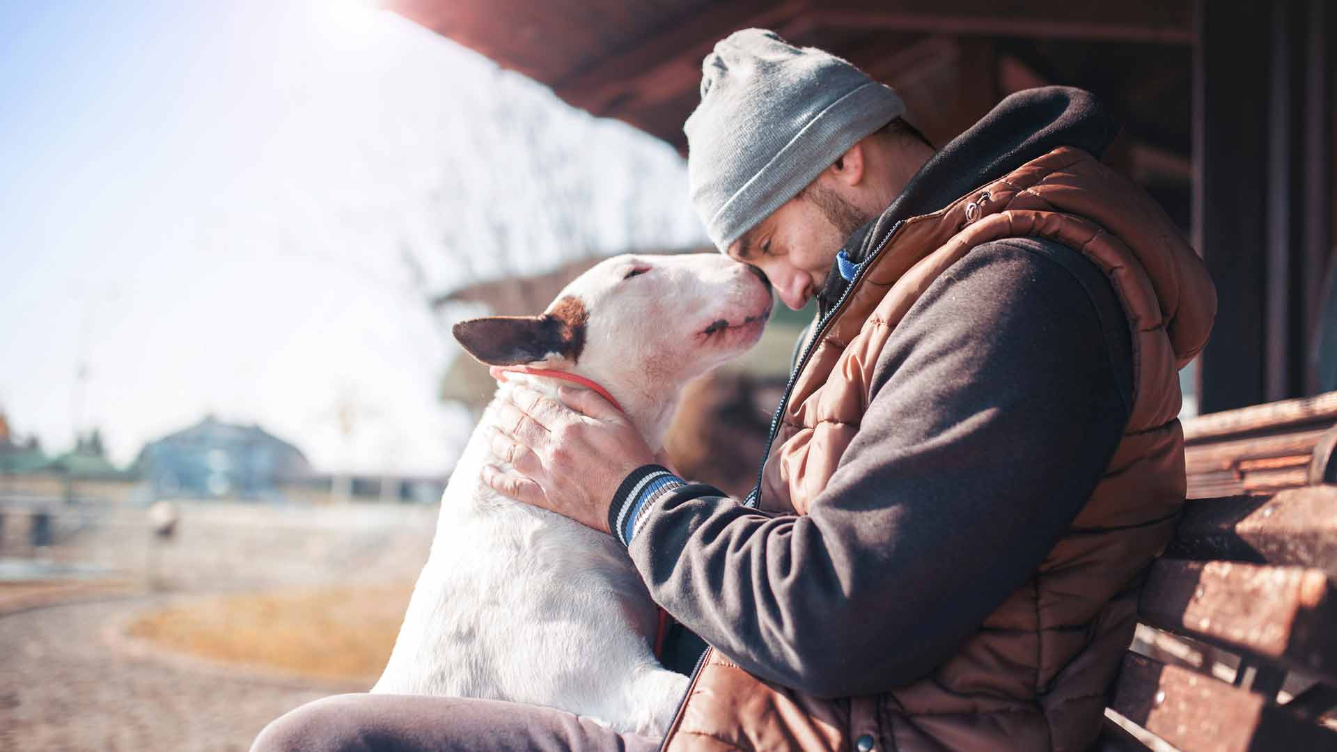 a dog hugging its owner
