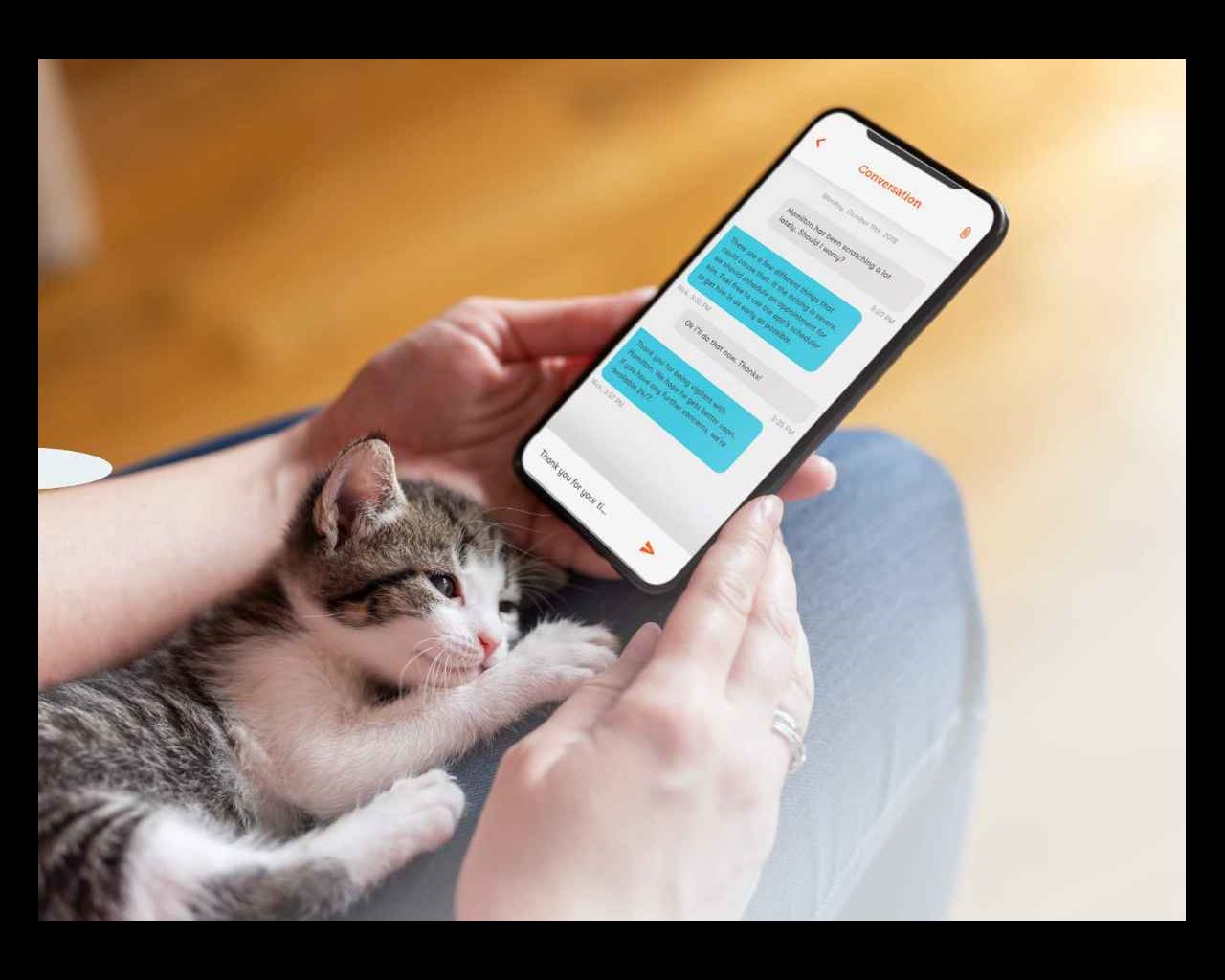 kitten in lap with mobile mockup