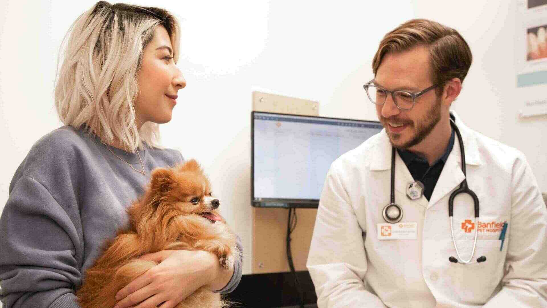 A male veterinarian talking to a puppy while the owner holds it at the Banfield Pet Hospital