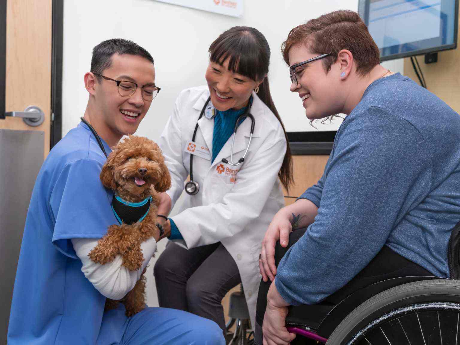 Doctors with dog at Hospital