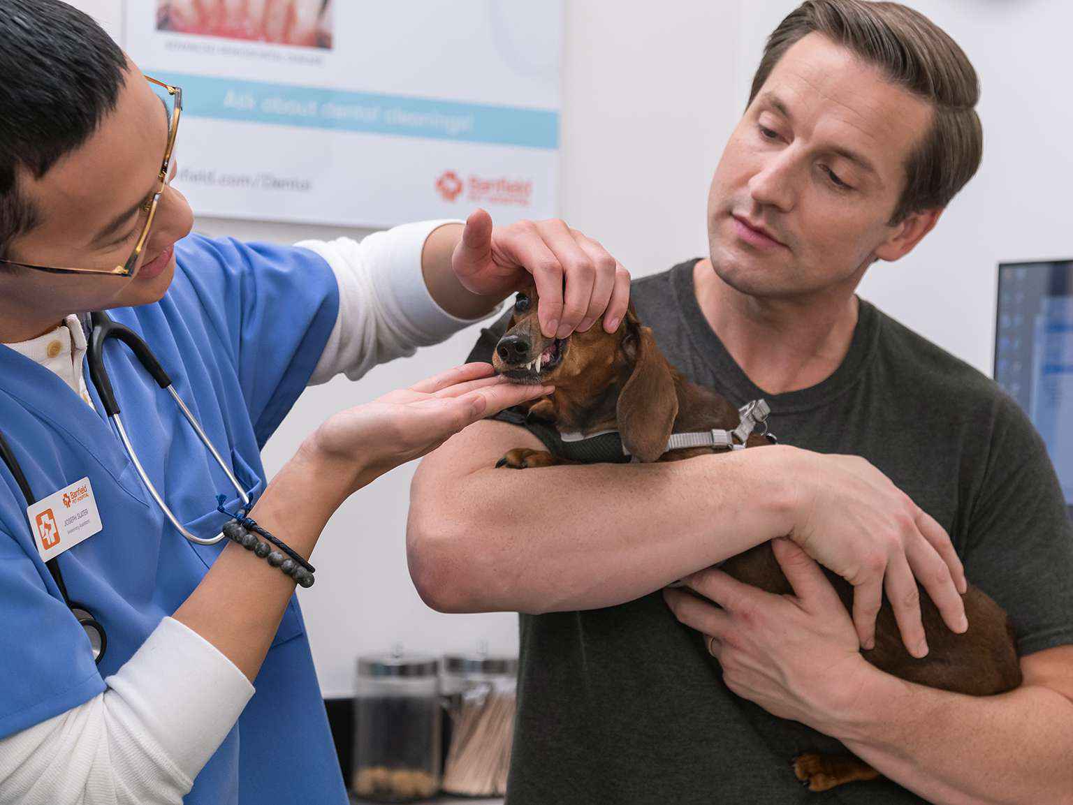 A young male veterinarian examining a dog's teeth while the owner holds it at the Banfield Pet Hospital