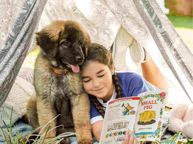 A little girl is reading with her puppy