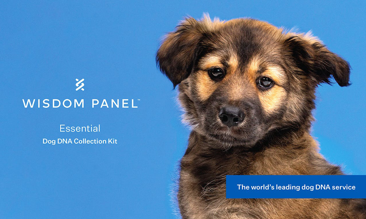 Wisdom Panel™ - Essential Dog DNA Collection Kit