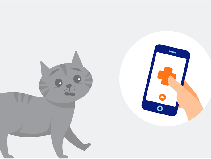 Illustration of a gray cat and a mobile phone with Banfield logo