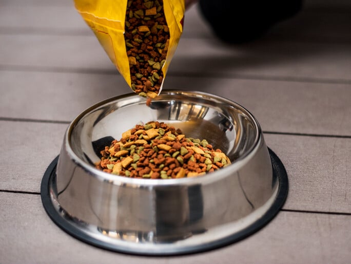 Dog food being poured into a bowl